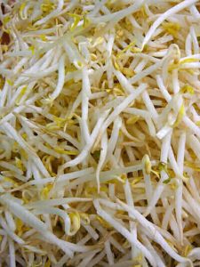 mungbeansprouts